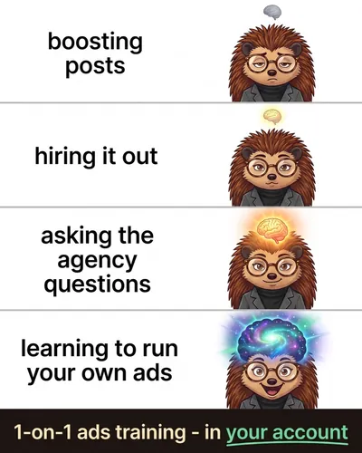 Hedgehog meme ad: boosting posts, hiring it out, learning to run your own ads